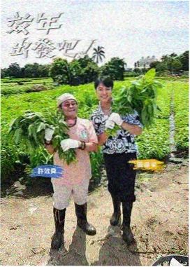 明星大侦探 第9季